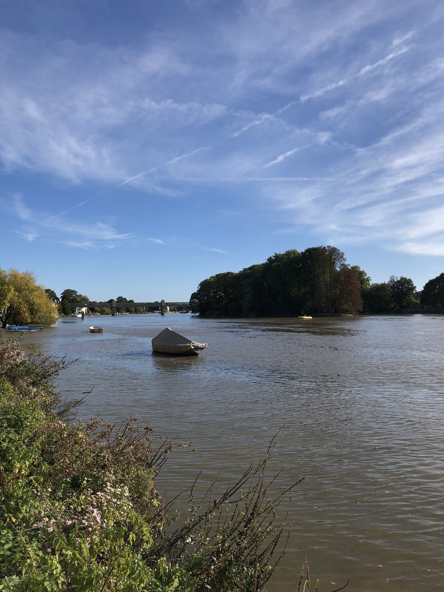 LondonWlogger's tweet photo. One of the last times to wear shorts and t-shirt this year when walking before the Christmas jumpers make a comeback 😁☀️🎄 #Kew https://t.co/QKhfaJ9CIH