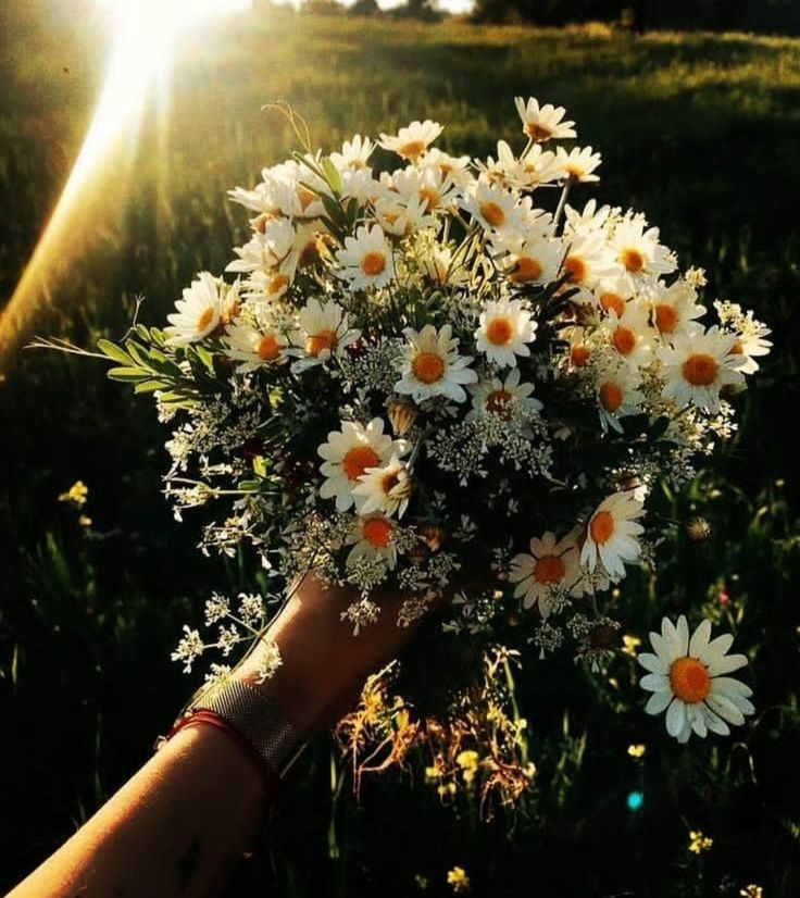 "Yalnız değilim, tek başımayım. İkisi aynı şey değil. Sen ayırt edemiyorsun." 

#LiberalArts #Geceyenot #koçdolunayı #ekim