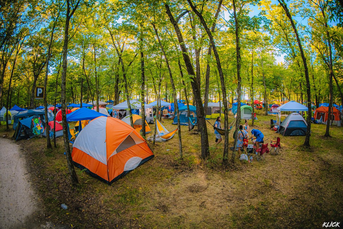 Dancefestopia's tweet photo. Home 💚 #DFT23 Details coming soon! https://t.co/kX1Ot5H1h9