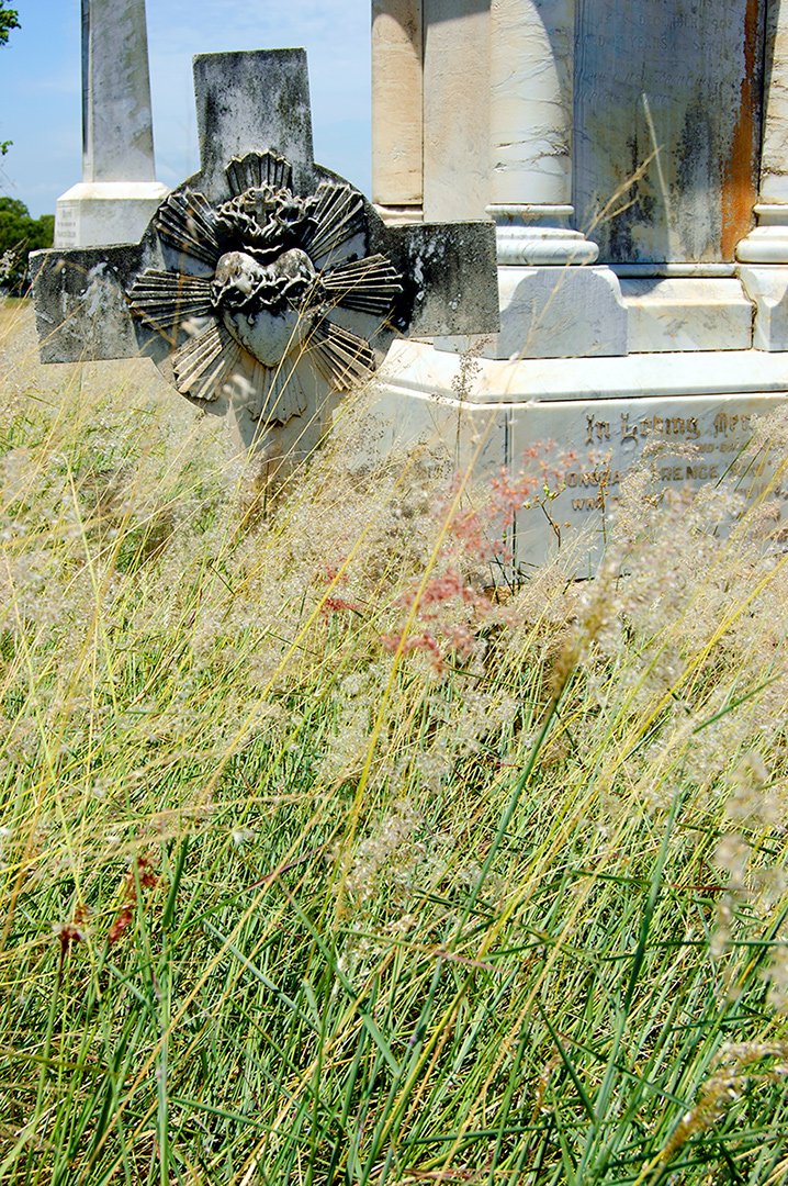 bronwenhyde's tweet photo. coronary
i posted this early access for my #patreon patrons a week ago: https://t.co/jYG7Fo6Cb0
#grave #headstone #sacredheart #crownofthorns #cross #overgrown #summer #death #nudgeecemetery #nudgee #brisbane #queensland #australia #sepulchre #sepulchralsunday #cemeterysunday https://t.co/1sxuWuqCZZ