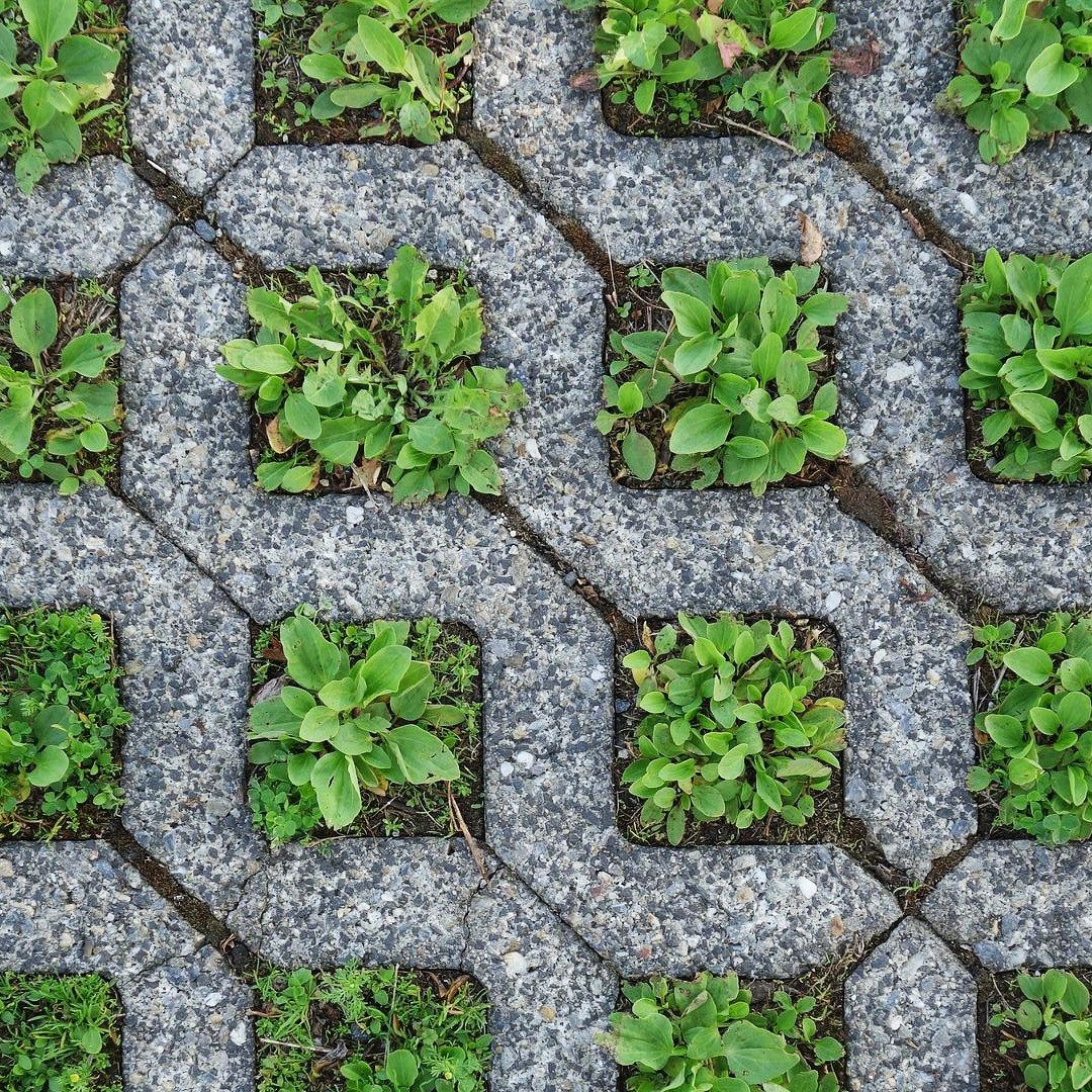 github's tweet photo. The perfect garden? 🌱
#irlcontributiongraph https://t.co/DPkonxpqfZ