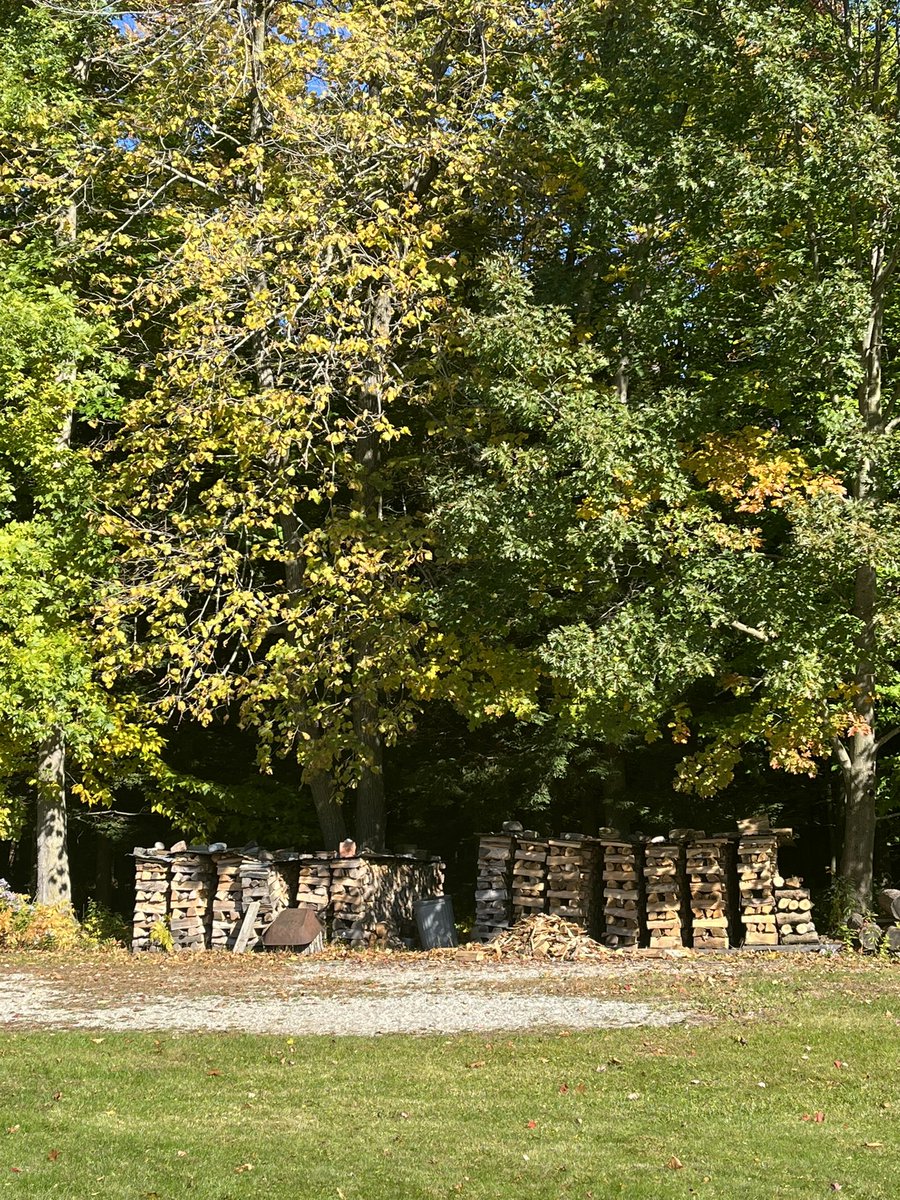 PileRate's tweet image. Weybridge, VT

Mixed hardwood

Lincoln revival straight stack

Peaking fall foliage

10/10