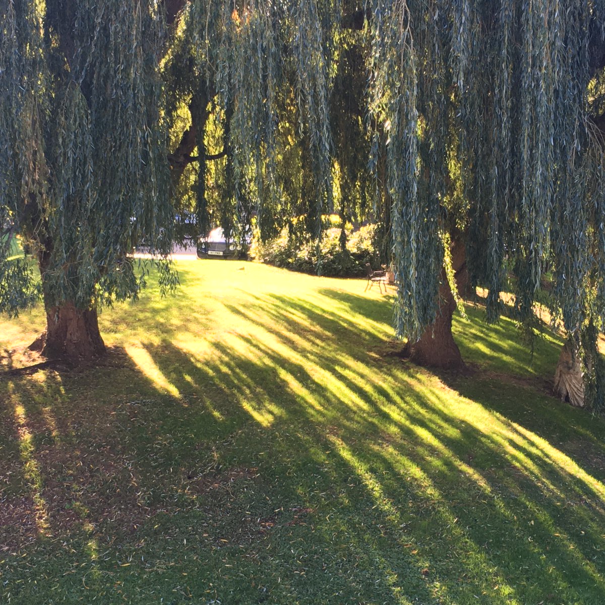 srjudithl's tweet photo. #autumn #autumn2022 #autumncolours🍁🍂 #autumnsun #turvey #bedfordview #riverouse #shadowsandreflections #creation #naturalbeauty #morningwalk #villagelife #countryside A few pictures from one of those lovely, sunny autumn mornings. My favourite kind of sunshine, bright and cold https://t.co/tEMvtTNPb1