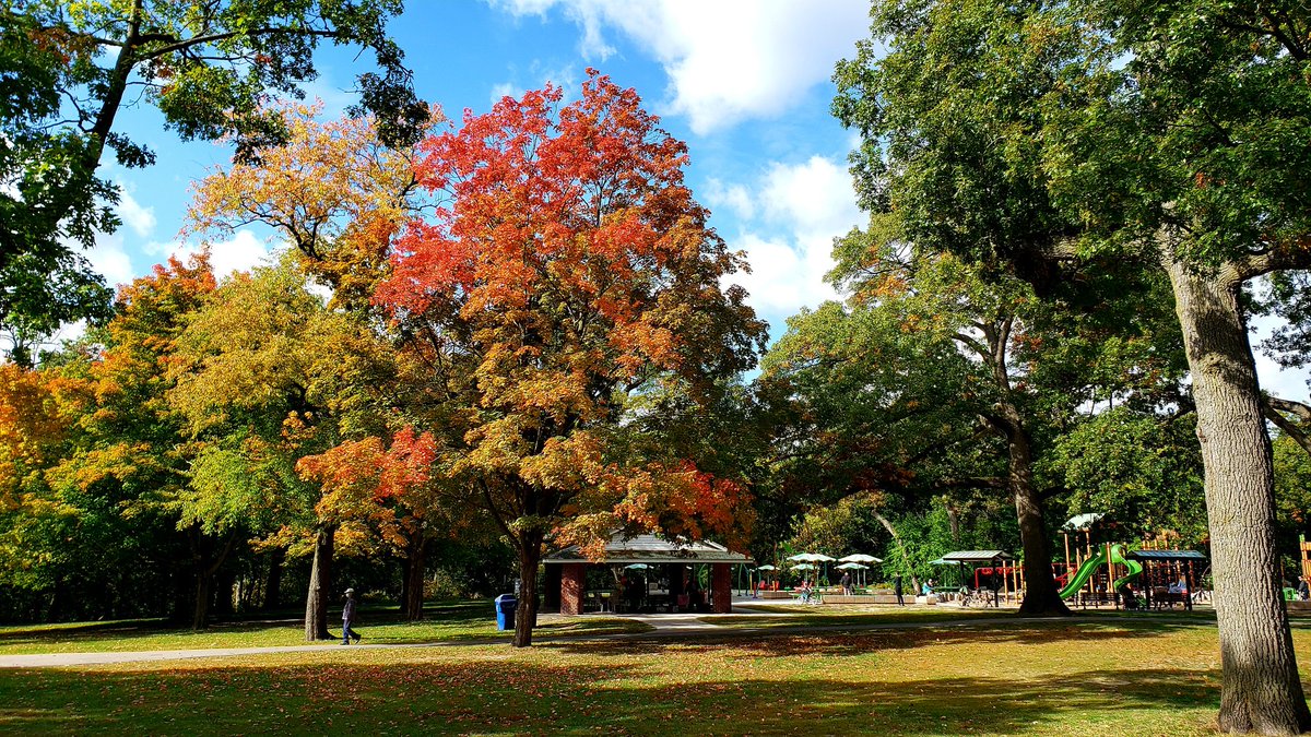 guide2travel's tweet photo. Beautiful day for a walk in #HighPark in #Toronto #travel #exploresask #exploreca #fall https://t.co/1LrhP7TvE3