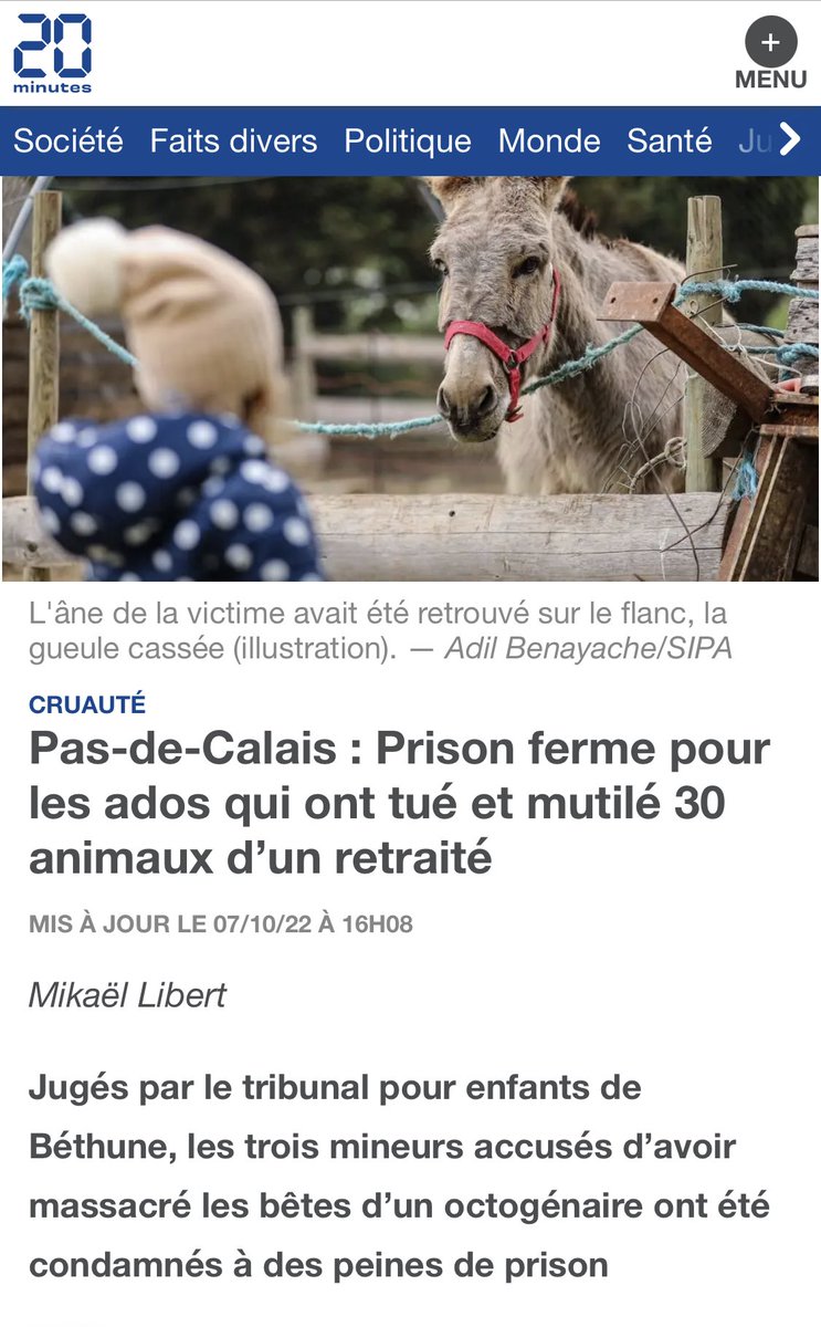 courbet_julien's tweet photo. Bravo  👏🏻👏🏻 faites tourner ! Que tout le monde sache que l'on peut aller en prison pour de la cruauté animale ! Bravo mme ou mr le juge c est la seule façon de faire évoluer les choses #protectionanimale https://t.co/Bbvmz3k8DB