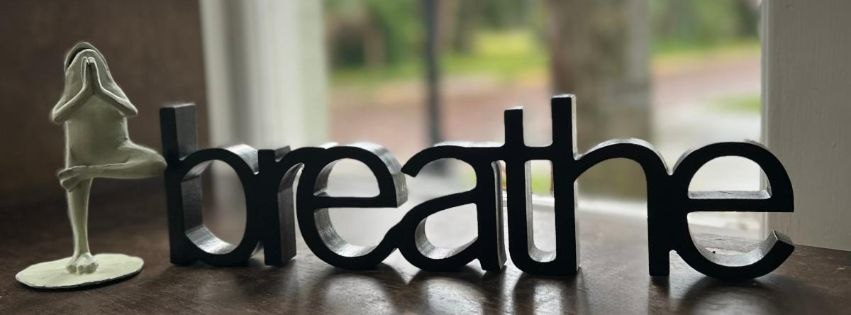 Keep updated with all that's happening at The Yoga Sanctuary! 
The studio is open and offering in-studio and online classes 7 days a week. 
conta.cc/3yrlQ6y