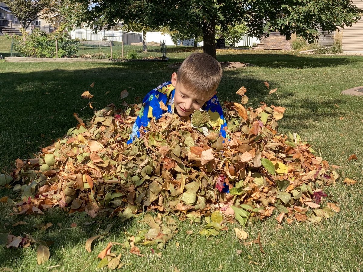 jritka's tweet image. One of the best parts of fall 🍂 🍁 #LeafPile