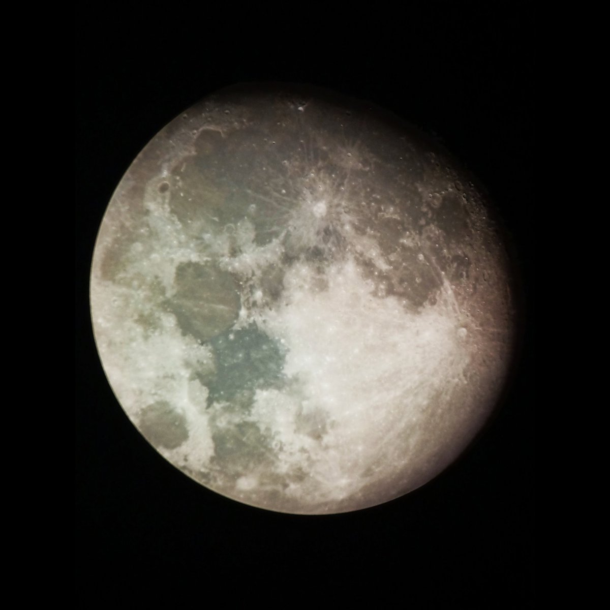 Ay ışığında geceler 🌕