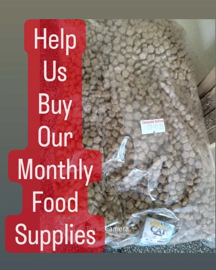 PLEASE HELP 🆘️
We are still asking everyone's help for us to replenish kitties supplies. No amount is too small. You can also sponsor a bag/sack/box of food if you are able to. RT us for a boost. Anything helps everyone. Our Paypal in bio. Thank you
#CatsofTwittter #Caturday