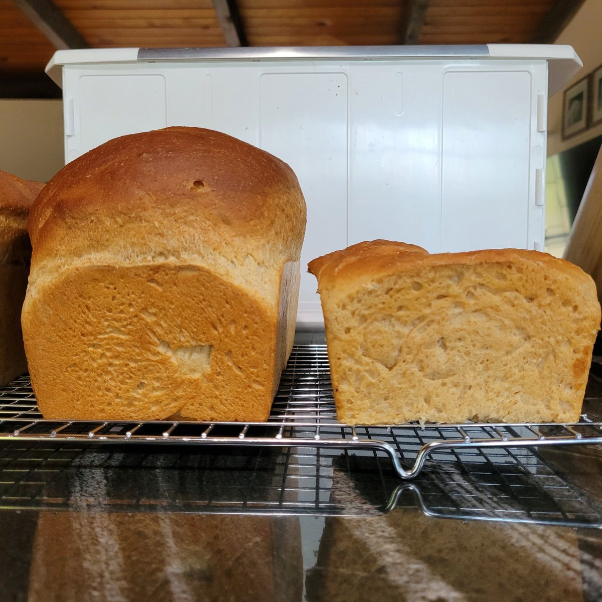 jamifairleigh's tweet photo. Last week's baking (right) vs this week (left). Same recipe, starter, baker, and oven. 🤷♀️Sometimes, bread just flops. #MetaphorForLife https://t.co/9zZjr4IsAK