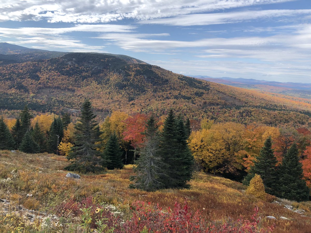 JakeBFitzGerald's tweet photo. Hey @PaulPabst checking in from Rangeley, Maine this weekend. #FoliageWars #LeafPeepin #LiveLaughLeaf @HiMyNameIsSeton @dpshow @PrinceMarv13 https://t.co/6M1WOCIqMm