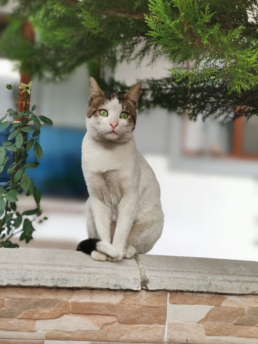 barış (@bariskarli60) on Twitter photo 