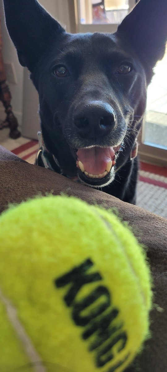 Hope everyone is having a nice weekend! I am cause I'm playing ball! Mom can never say no to this face.