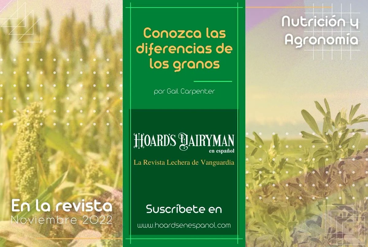 hoardsenespanol's tweet photo. Lee este artículo en la revista de noviembre 2022 de Hoard’s Dairyman en español. Suscríbete en https://t.co/nwGoTGzfSX o escríbenos a suscripciones@hoardsenespanol.com

#revistalechera #hoardsenespanol #industrialechera #ganaderia #vacas #vacaslecheras #establolechero #establo https://t.co/BhDgAPCASe