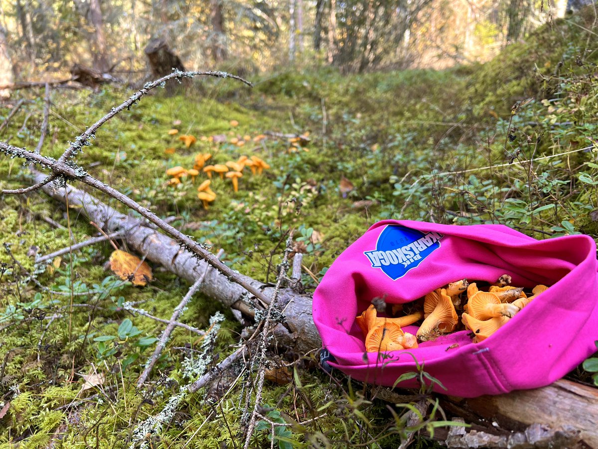 Tur att det var mössväder idag… 
#skogspromenad #BIKKarlskoga #StoltBIKare