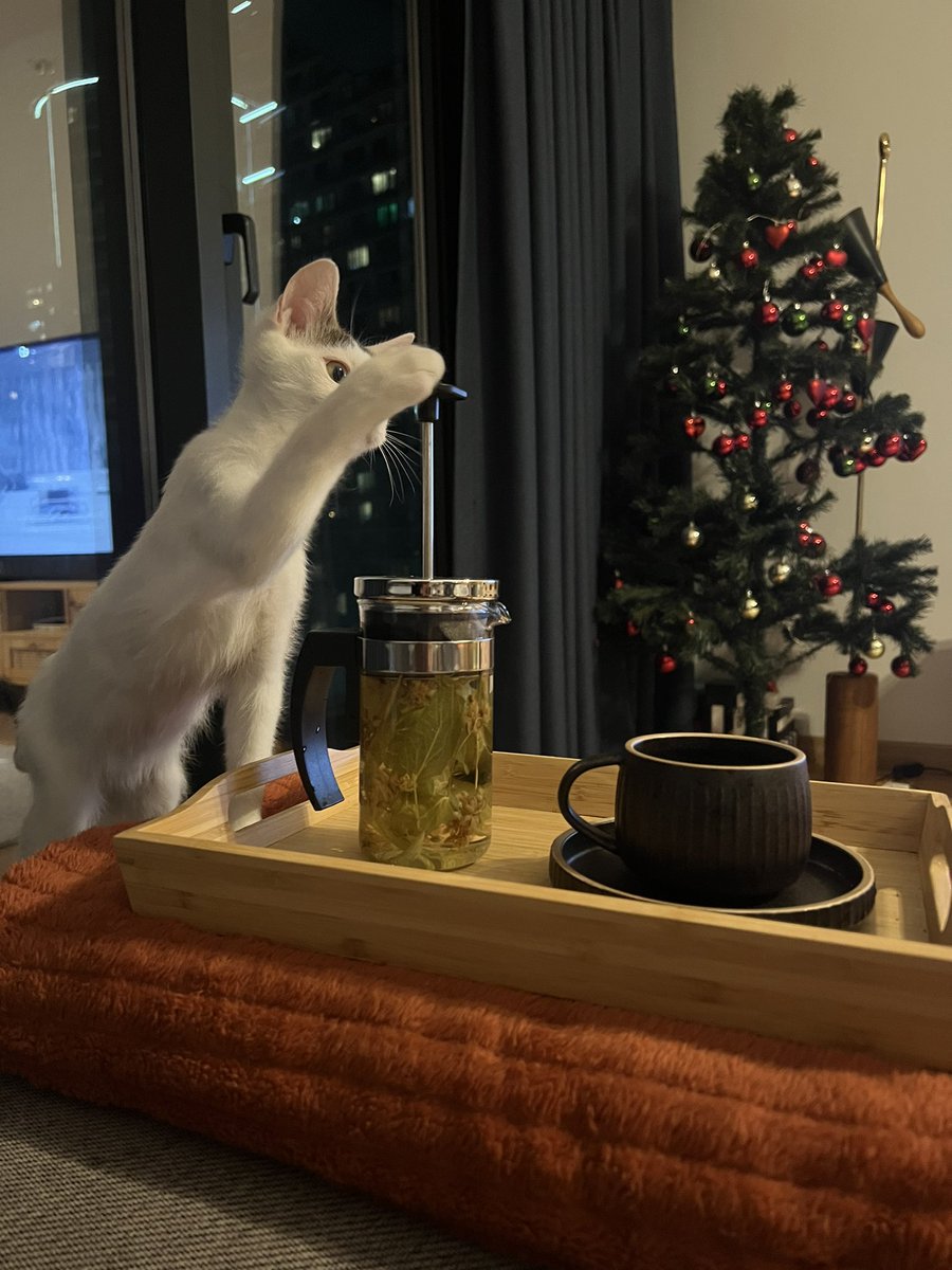 Ben hasta olunca kedim..