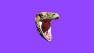 Last chance #TwitchCon2022 if you want to meet up / high five / have me choke slam you? DM me in the<a href="/tag/twitchcon2022"class="tags">#TwitchCon2022</a>
