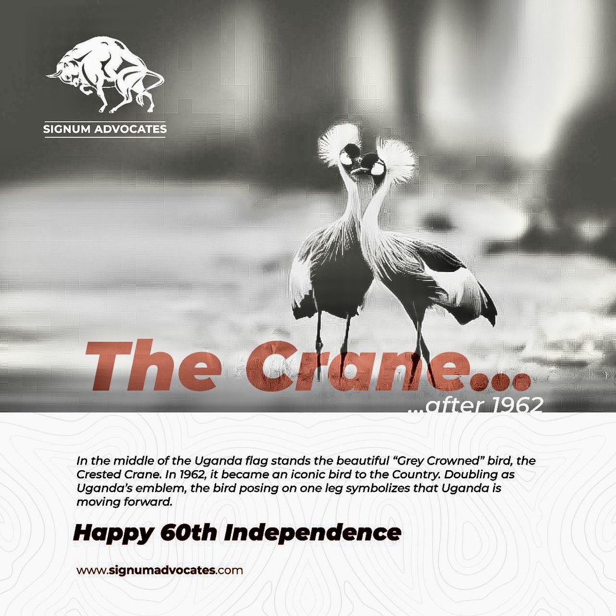 Alex Matovu (@alex_matovu88) on Twitter photo 