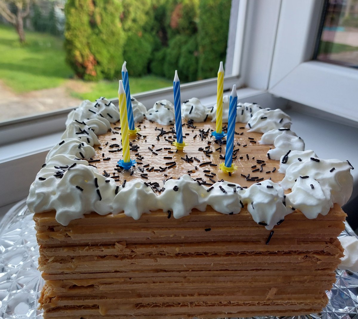 wildcherry91019's tweet photo. 🥳 https://t.co/QavucclQOa