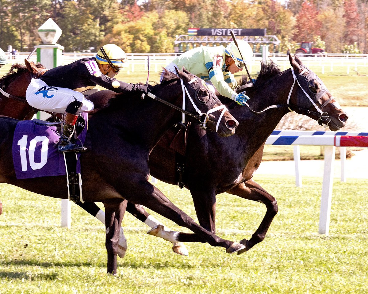 mdhorsemen's tweet photo. Boat’s a Rockin, 2nd in G3 Turf Monster S. @parxracing @PTHA17 last out, holds off Mr. Hustle to win N2X allowance at 5 1/2F on turf @LaurelPark with @tyler_conner519 in for the mount. 9th win for 5YO Red Rocks gelding trained by Brandon Kulp for M3 Racing Stable. (Jim McCue 📷) https://t.co/nFz70ldCfY
