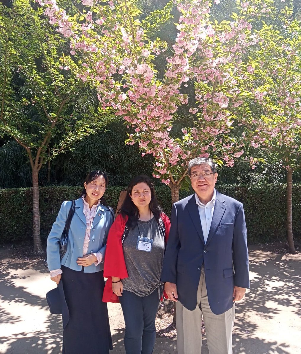 ShibuyaEmbJpChi's tweet photo. Participé en Hanami2022 coorganizado por C.NikkeiValparaíso en el Jardín @botanicovina Los últimos 2 años fue online, así que me alegró mucho participar presencialmente esta vez. La gente disfrutó la cultura japonesa con caligrafía,  artes marciales y más, bajo flores de cerezo🌸 https://t.co/xVXZnxvvyZ