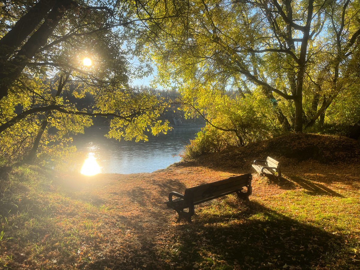 annetteaux's tweet photo. I’m falling in love with our new ‘hood #yeg #thankful https://t.co/aGSek9vSuf