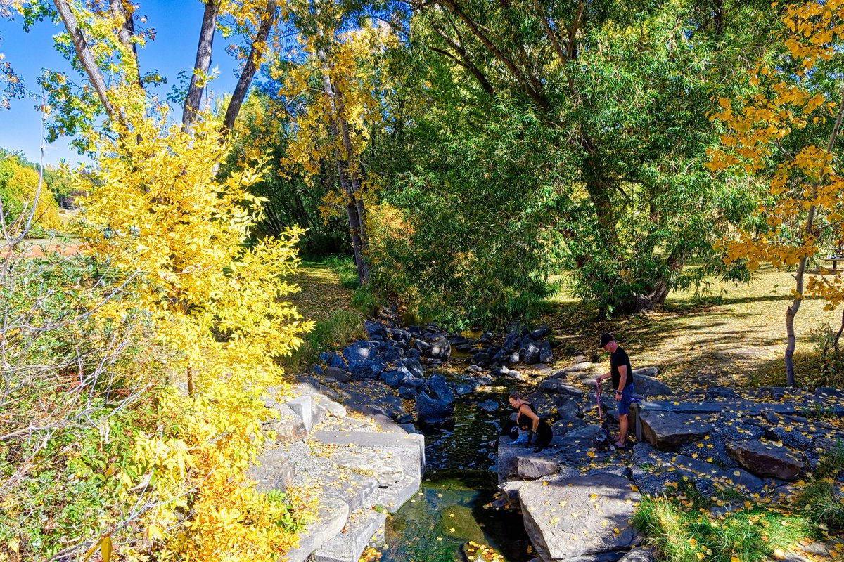 ashadmukadam's tweet photo. Confederation Creek in the fall. This is an HDR edit. #calgary #alberta #confederationpark #confederationcreek #nature #landscapes #fall #fallcolours #autumn #yellowleaves #orangeleaves #hdr #hdredit #aurorahdr https://t.co/B6Q2BPb0bM