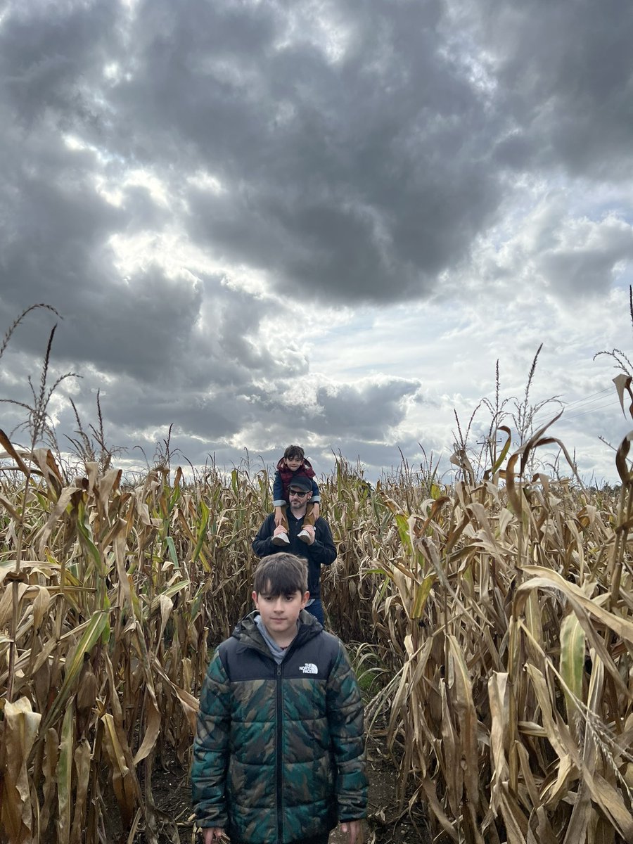 aneesha.robins tweet media