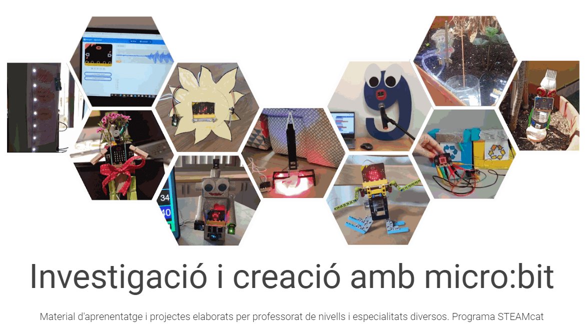 Carolina C tweet media