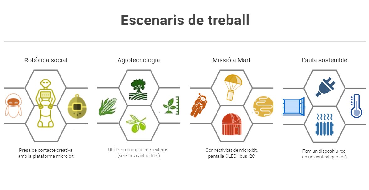 Carolina C tweet media