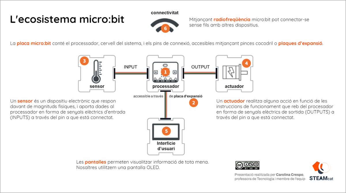 Carolina C tweet media
