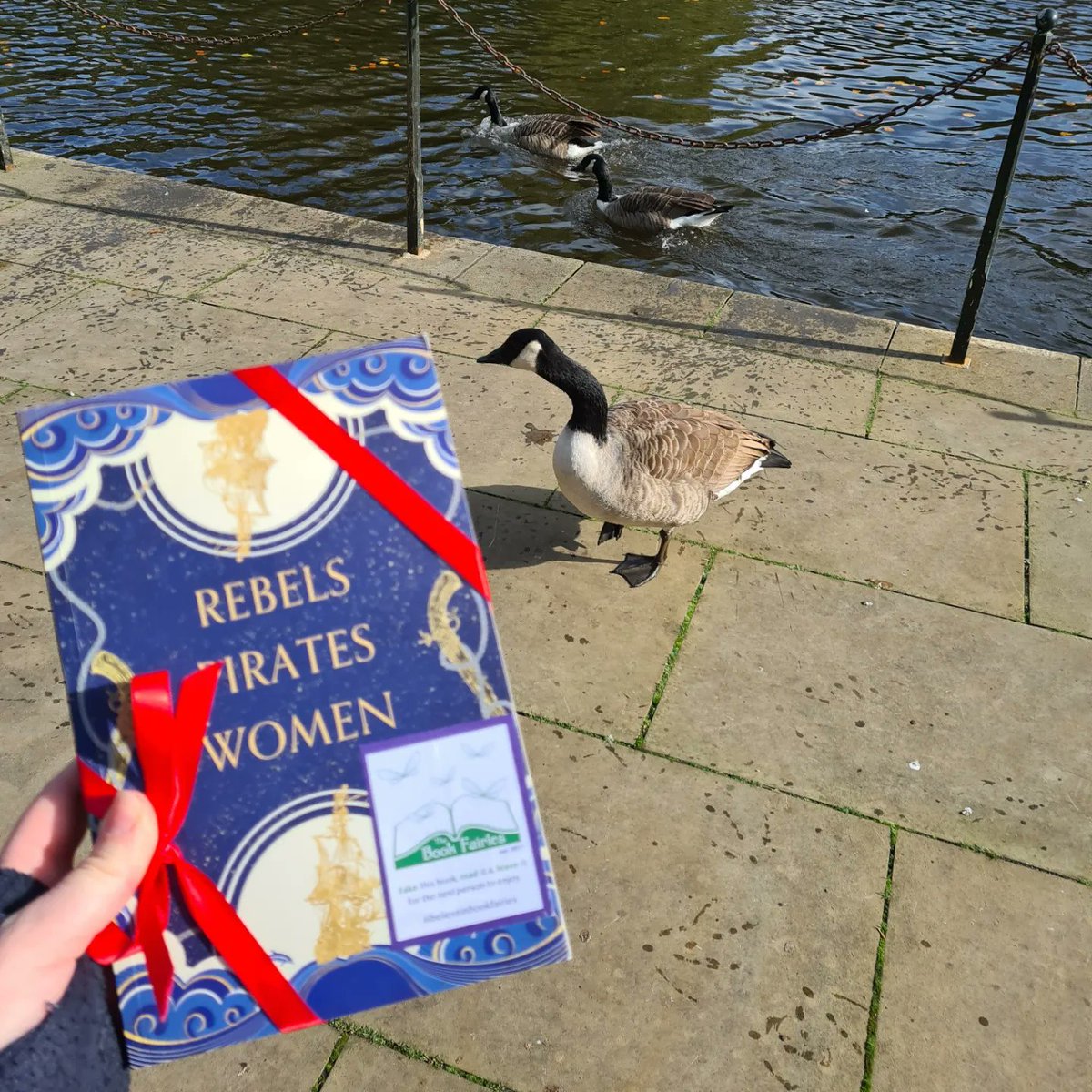 BookfairiesShef's tweet photo. A copy of #BonnyAndRead was left guarded by some geese in Buxton Pavilion Park. Were you brave enough to rescue it?!
@the_bookfairies @HodderBooks
#ibelieveinbookfairies #hodderbookfairy #hodderbooks #hiddenbooks https://t.co/UyoZ16SejF