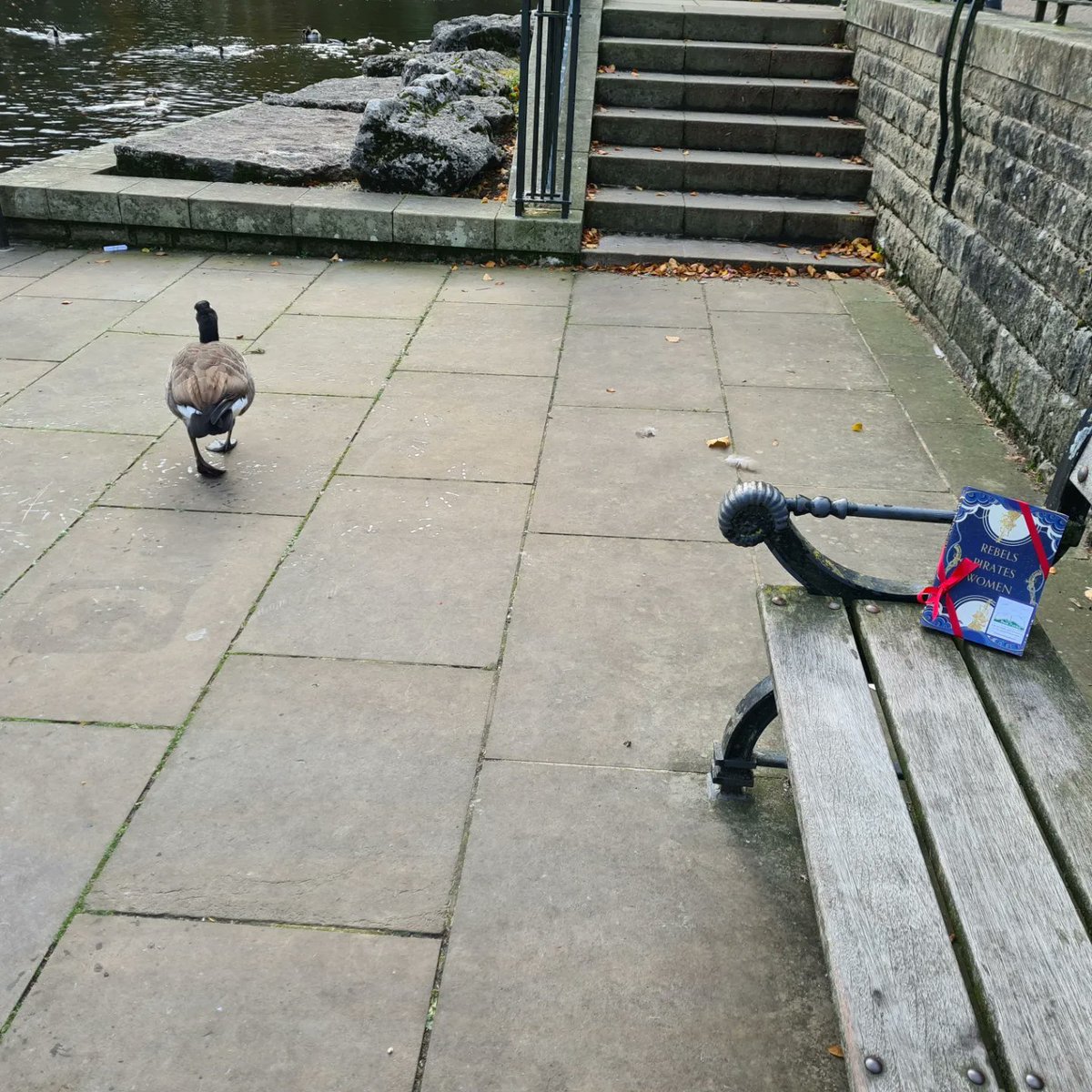 BookfairiesShef's tweet photo. A copy of #BonnyAndRead was left guarded by some geese in Buxton Pavilion Park. Were you brave enough to rescue it?!
@the_bookfairies @HodderBooks
#ibelieveinbookfairies #hodderbookfairy #hodderbooks #hiddenbooks https://t.co/UyoZ16SejF