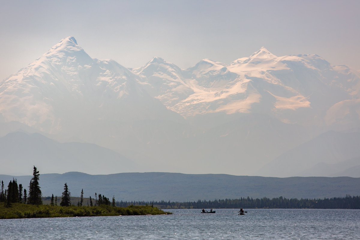 Elliot Hawkey tweet media