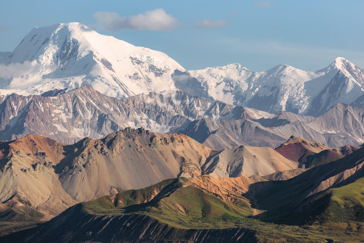 Elliot Hawkey tweet media