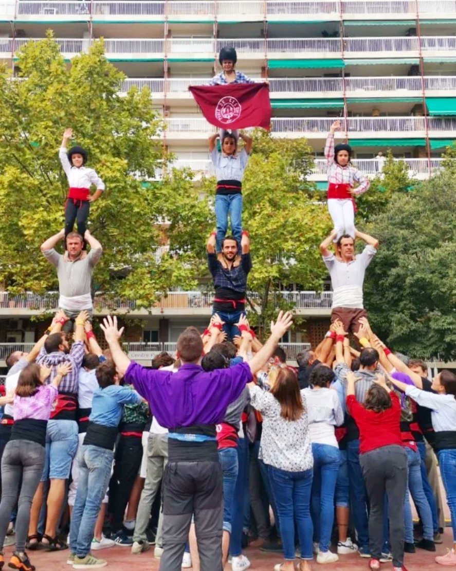 Panarres Les Corts tweet media