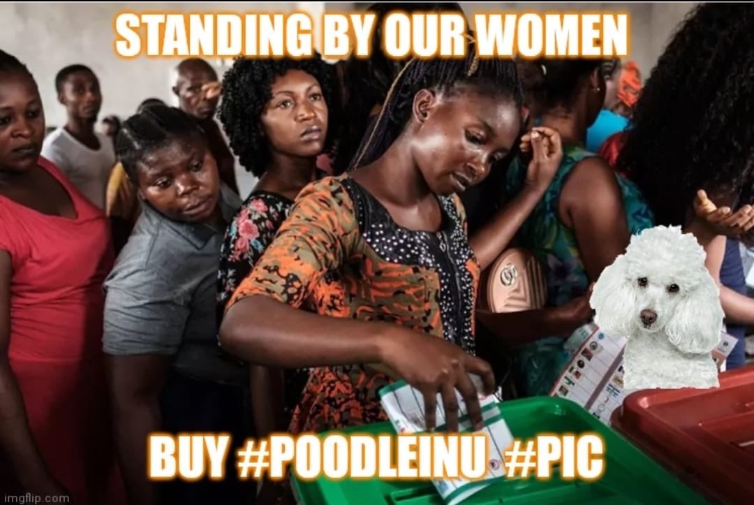 tonfaanthony's tweet photo. @rovercrc #PoodleInuCoin $PIC of course https://t.co/fc9ZRn8iOl