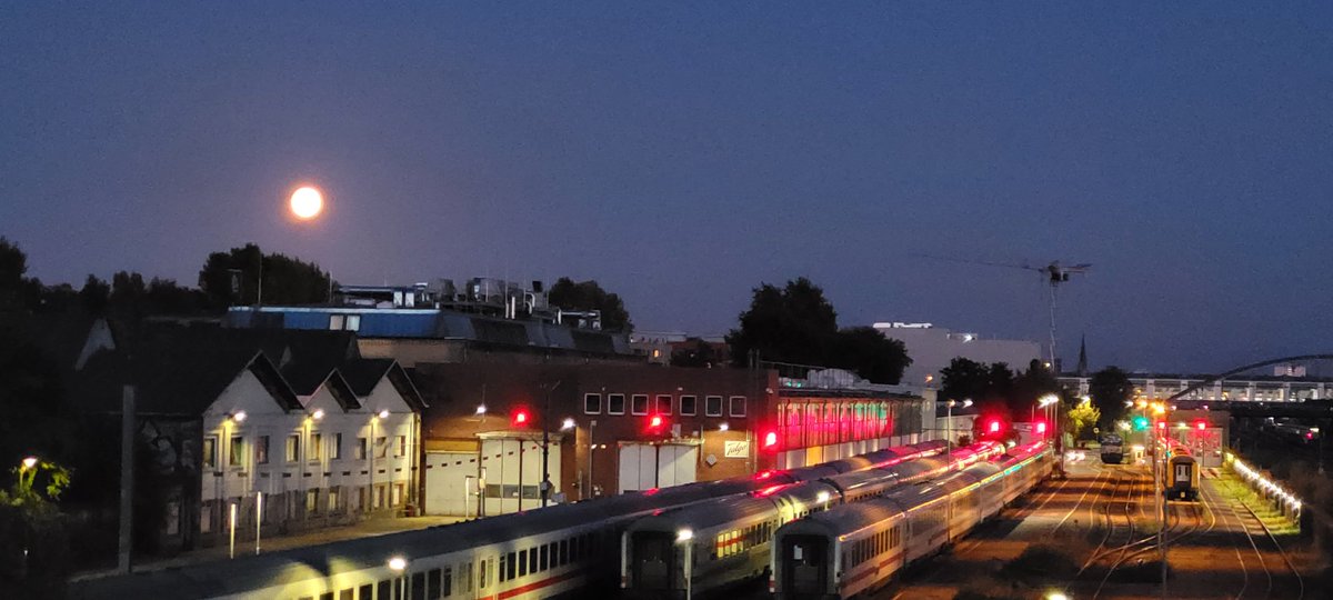 Kate Maria tweet media