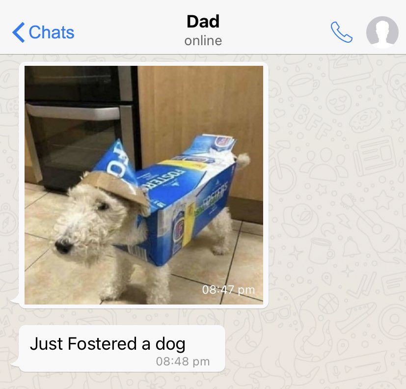 NoContextBrits's tweet photo. https://t.co/eJrdw94qnu