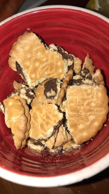 hichembkhh's tweet image. Le goûter du siècle