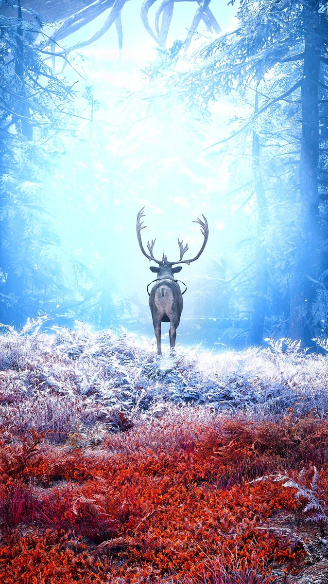 Freeze_the_2nd's tweet photo. @Ubisoft 
Outdoor 
#ubisoftphotomode
#ubiforward #ubisoft
#VirtualPhotography #outdoor #ZarnGaming 
#4KUltraHD #AssassinsCreed #wildlifephotography #forest https://t.co/N59loSRP4A