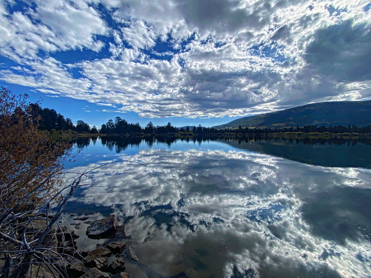 drjessica17's tweet image. Pause and reflect 💙

#flaminggorge #utah #naturephotography #awe