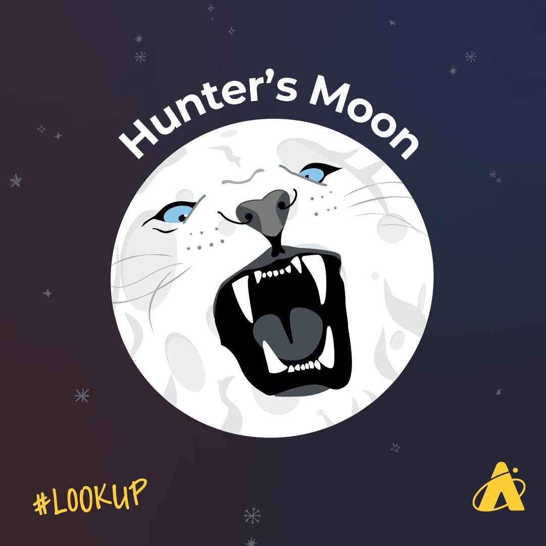 What are we doing this brisk fall evening? Looking up at our rocky celestial friend, of course! 🌕 #FullMoon Tonight, the #FullHuntersMoon rises at sunset. Don't forget to tag @AdlerPlanet + #LookUp in your Moon astrophotography! 🤳