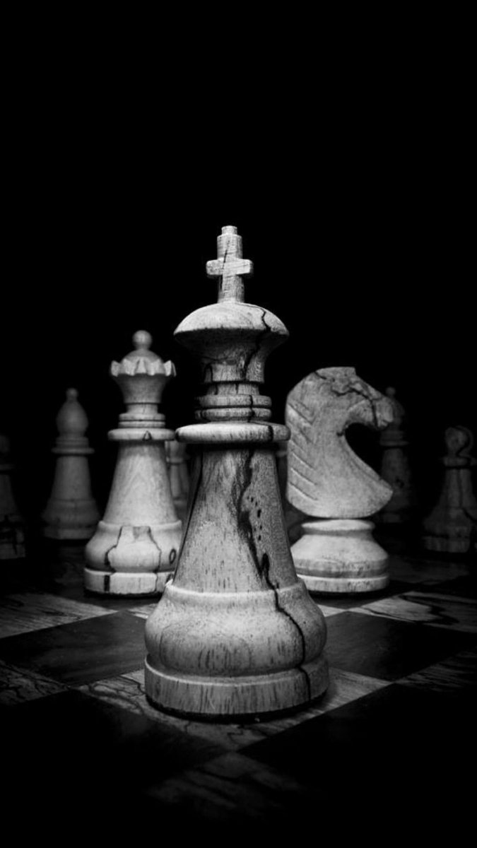 MylagrosGomez's tweet image. Progreso de mis primeros 20 días en @chesscom 

#chesscomglobal #ajedrezarg