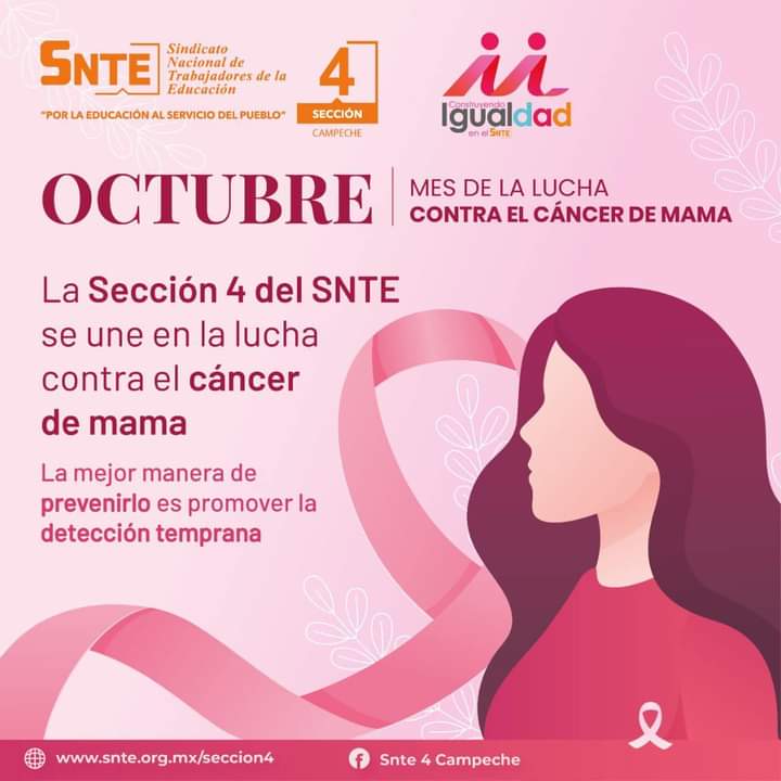 Sria. Equidad de Genero y Derechos Humanos tweet media