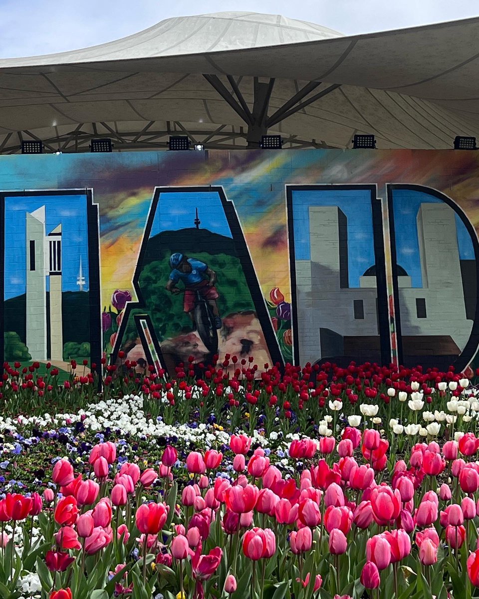 sofranksocial's tweet photo. Have you visited @Floriade yet? The annual floral festival closes on Sunday with the Dogs Day Out! 

#SoFrankSocial #VisitCanberra #Floriade #CanberraSpring https://t.co/gW1bnx9PMq