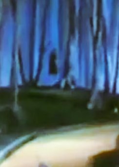 The Wizard of Oz a man hang his self