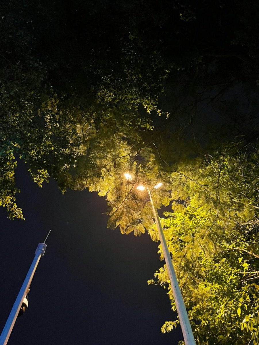 The night is very charming