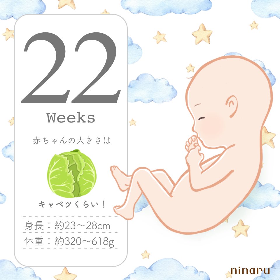 妊娠22週 Twitter Search Twitter
