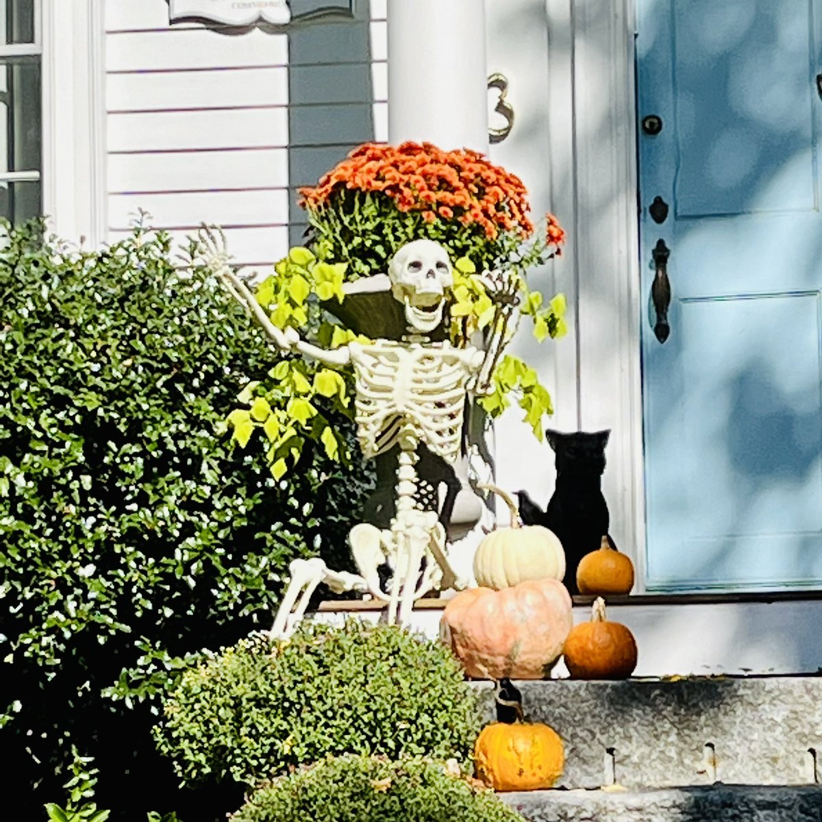 I like this enthusiastic skeleton! #ipswichma #skeleton #halloween
